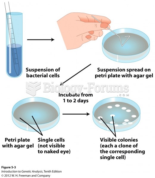 Bacterial colonies, each derived from a single cell Bacterial colonies, each derived from a single c