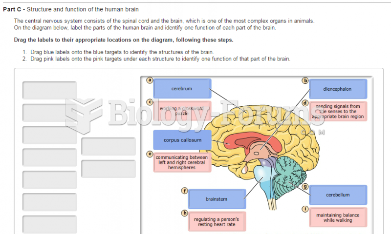 Part C - Structure and function of the human brain