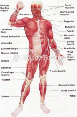 front muscle figure