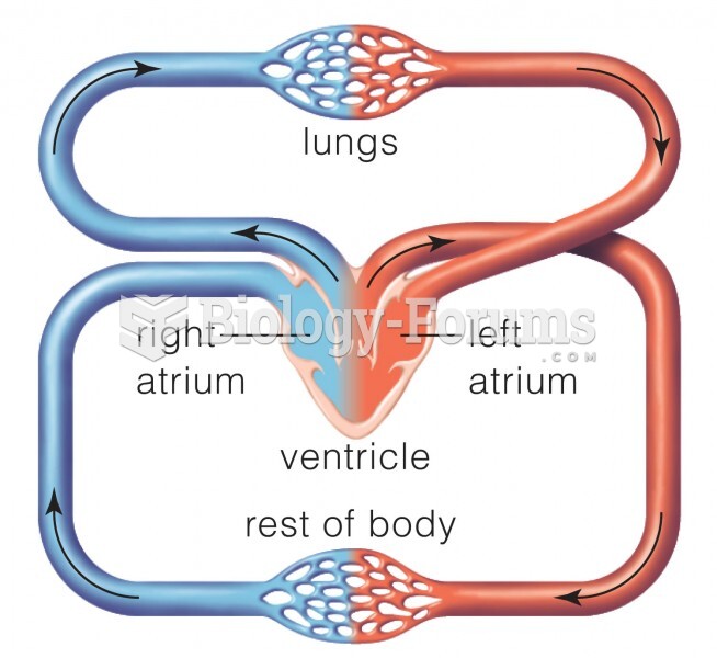 In amphibians, lizards, snakes, and turtles, the heart has three chambers: two atria and one ventric