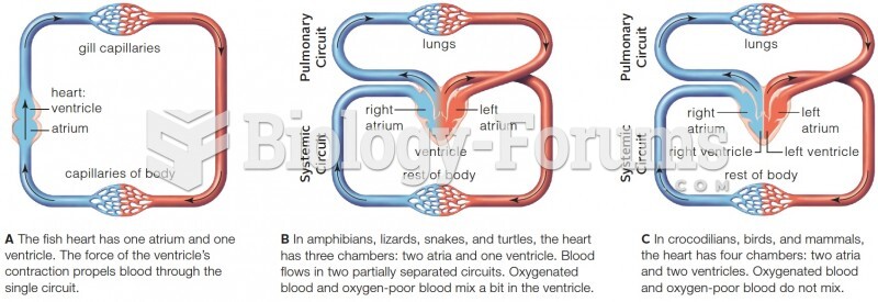 Variation in vertebrate circulatory systems