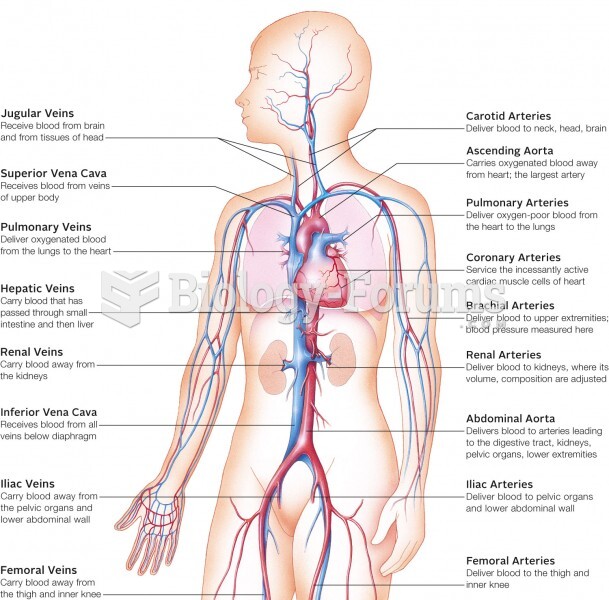 Major blood vessels of the human cardiovascular system