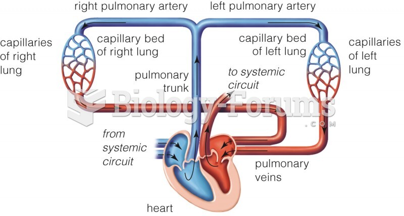 The Pulmonary Circuit