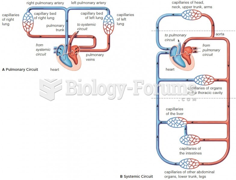 The two circuits of the human cardiovascular system