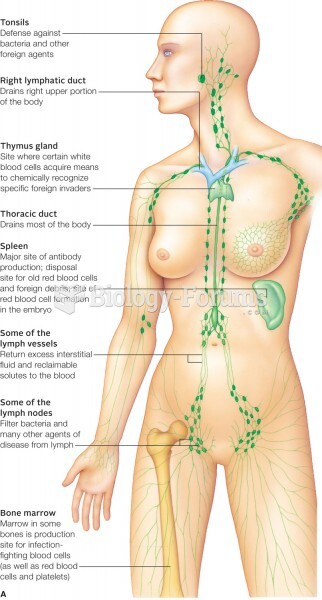 Components of the lymphatic system