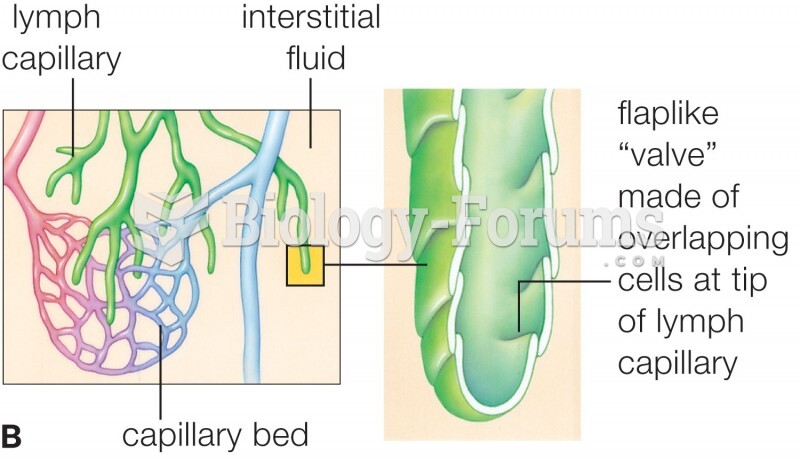 Components of the lymphatic system