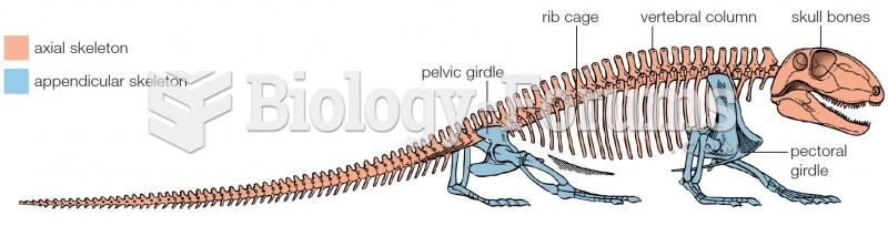 Skeletal Elements of Early Reptile