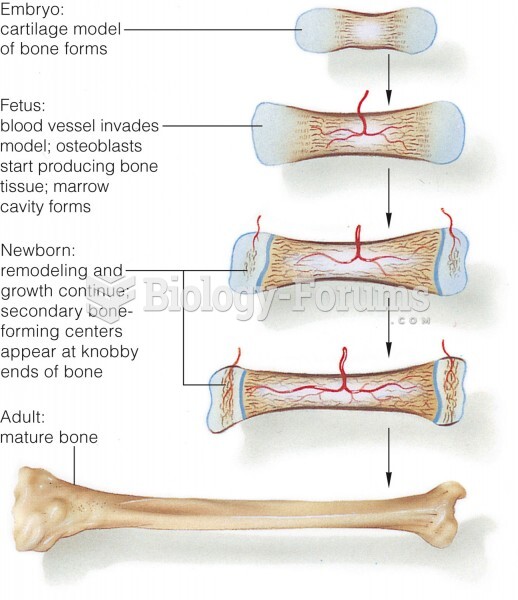 Long bone formation