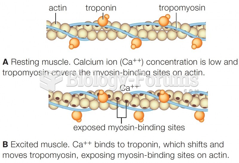 Role of calcium in muscle contraction