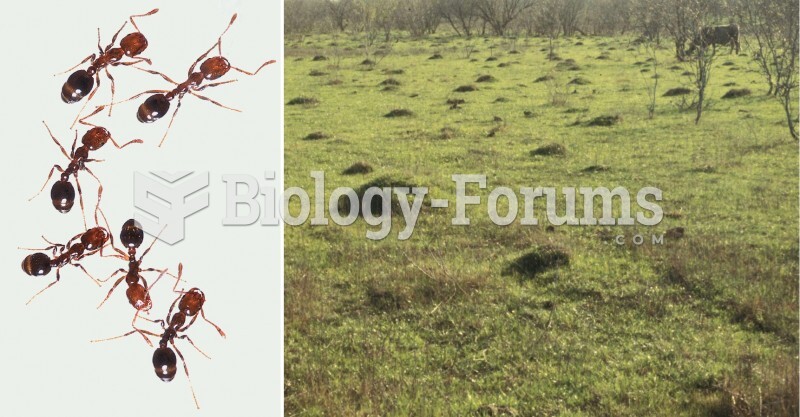 Red Imported Fire Ants