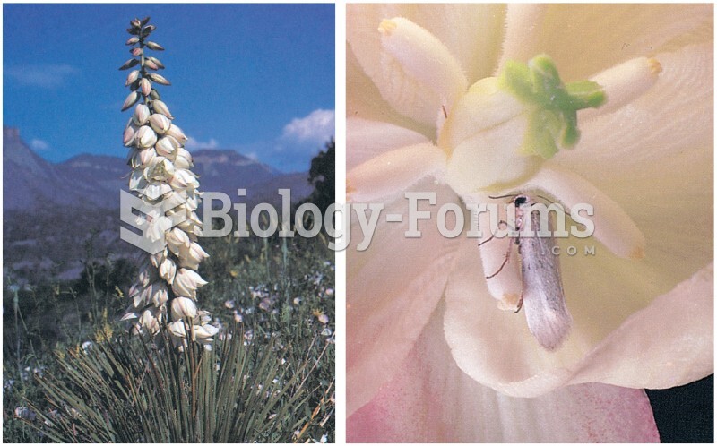 Obligate Mutualism: Yucca and Moth 