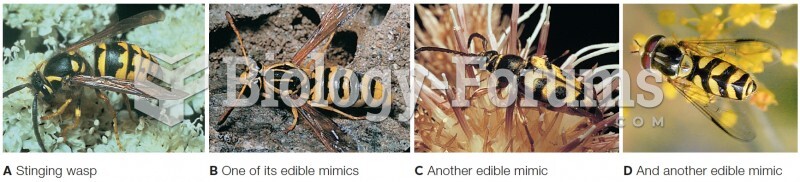 Examples of mimicry.