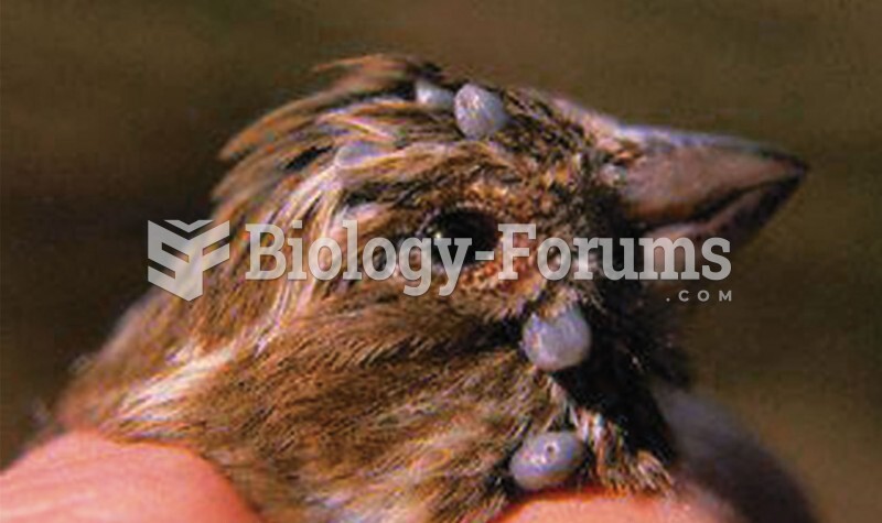 Ectoparasitic ticks attached to and sucking blood from a finch.