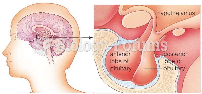 Location of the hypothalamus and pituitary gland