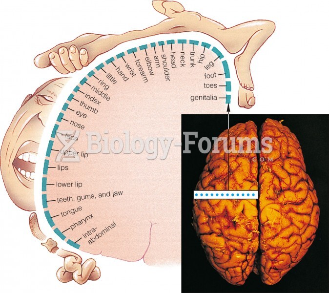 Body Regions in the Somatosensory Cortex