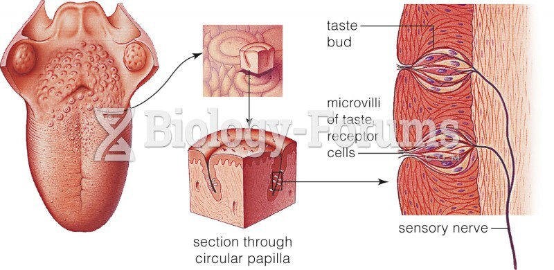 Taste receptors in the human tongue
