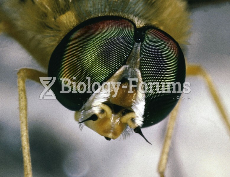 The compound eye of a deerfly