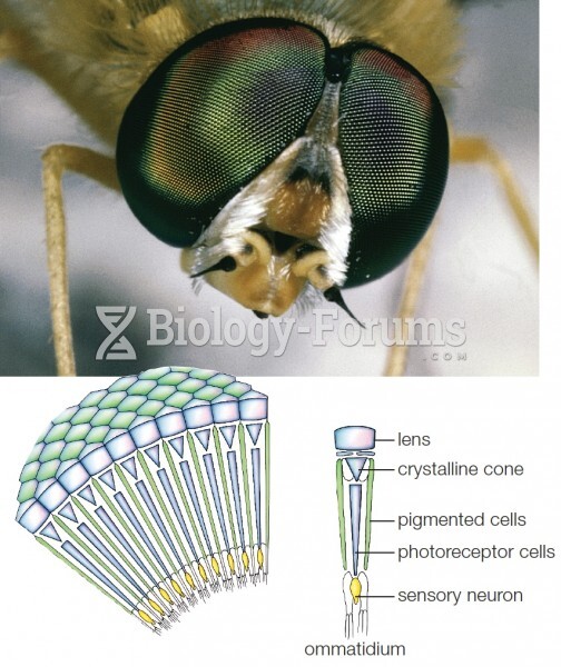 Compound Eyes