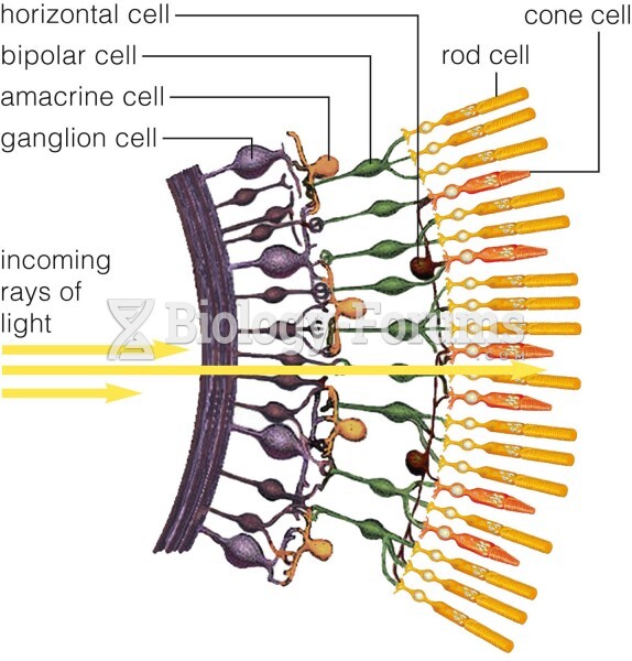 Structure of the retina