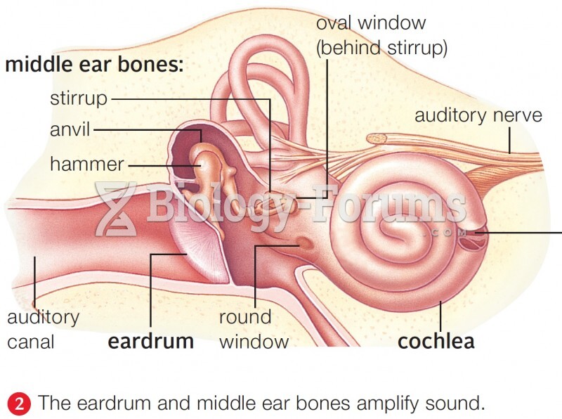 Middle Ear