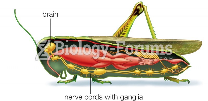 Insect with a Simple Brain 