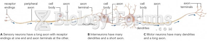 Three Types of Neurons