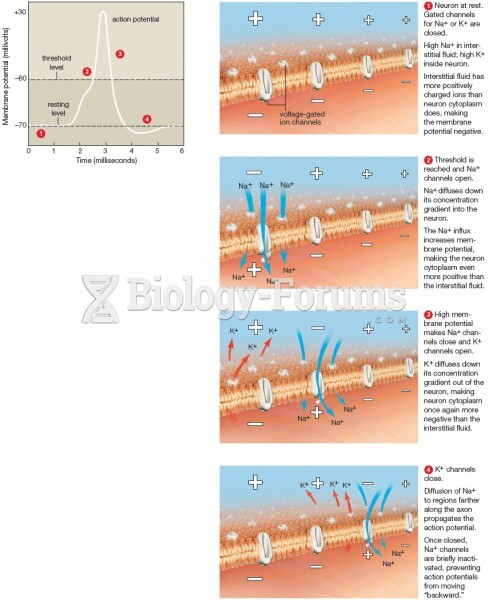 Action Potential Summary