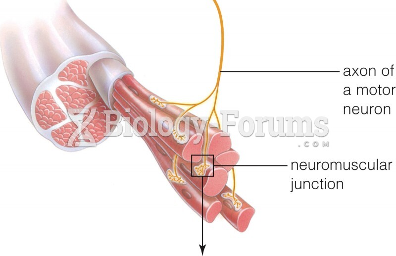 A Neuromuscular Junction