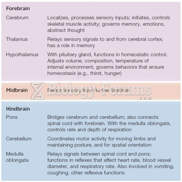 Functional Regions of the Human Brain