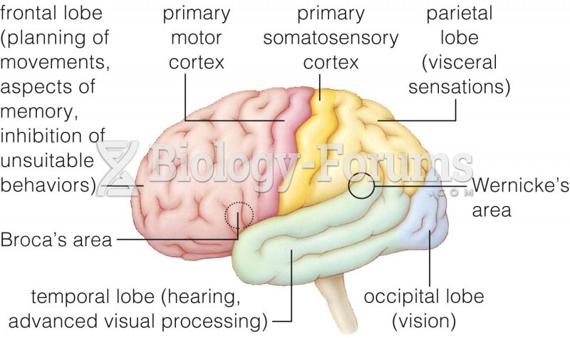 Lobes of the brain, with primary receiving and integrating centers of the human cerebral cortex.
