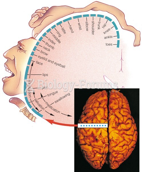 The Primary Motor Cortex