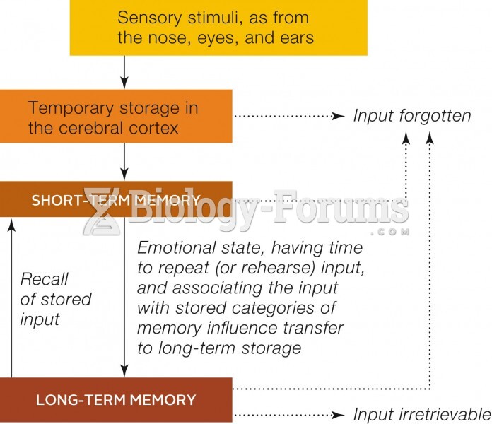 Stages in memory processing.