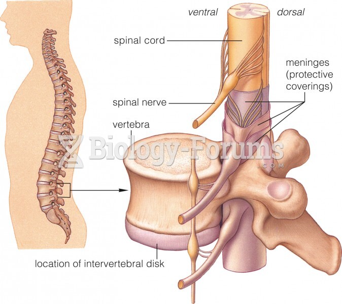 Location and organization of the spinal cord