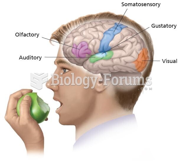 Sensory Areas of the Brain