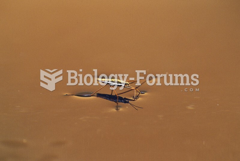 Water strider (Gerris remigis) on water surface, showing surface tension.