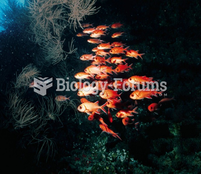 Clumped distribution  of schooling squirrelfish