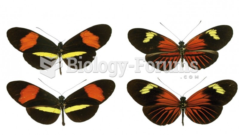 Four Butterflies, Two Species