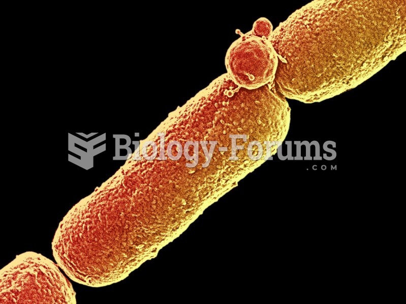Anthrax bacteria (Bacillus anthracis)