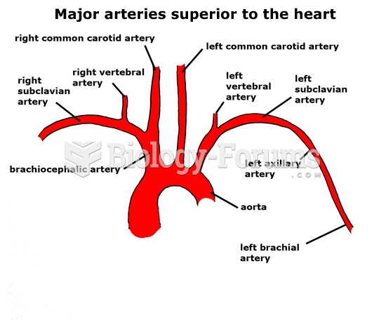 superior arteries