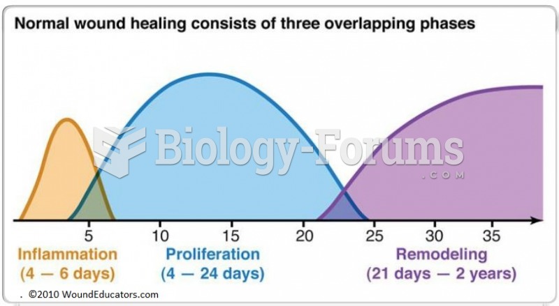 Three stages of phases: inflammation, proliferation and maturation.