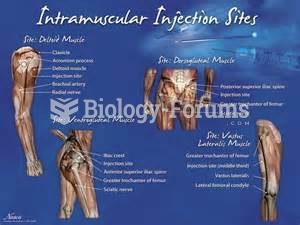 Intramuscular Injection Site