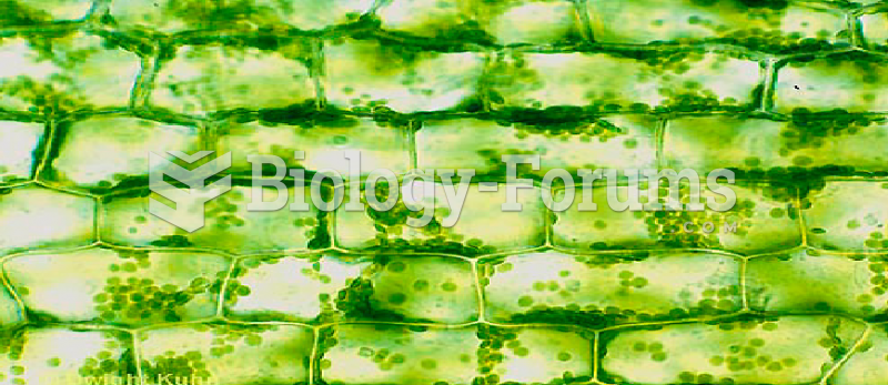 Microscopic view of plant cells