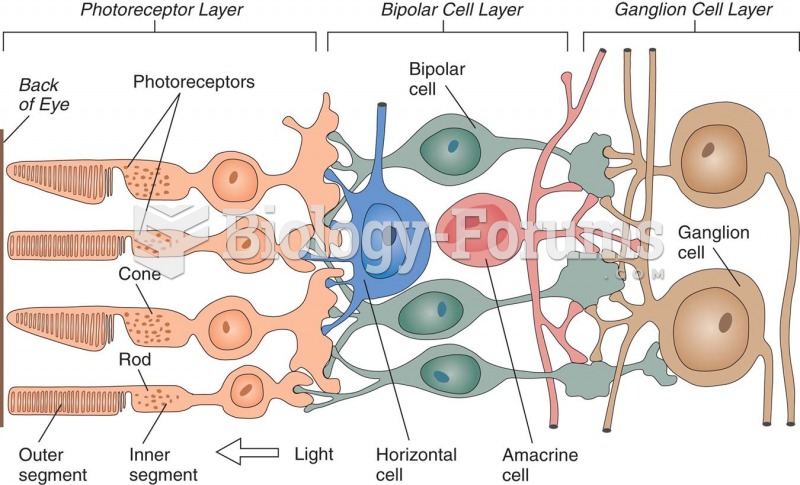 Details of Retinal Circuitry