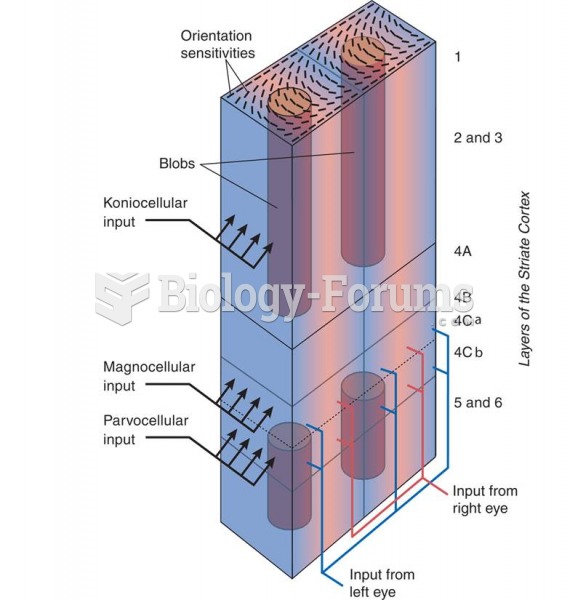 One Module of the Primary Visual Cortex