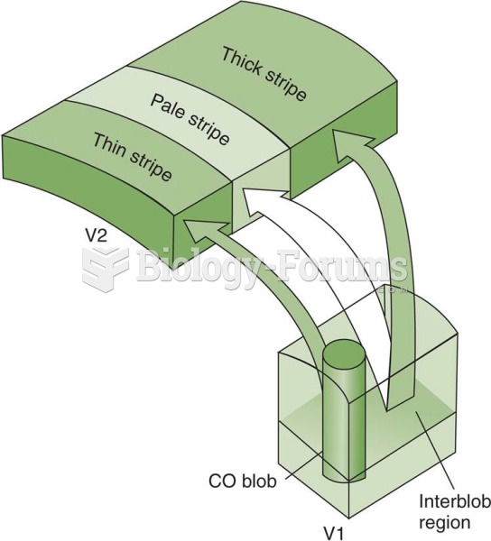 Connections Between Areas V1 and V2 