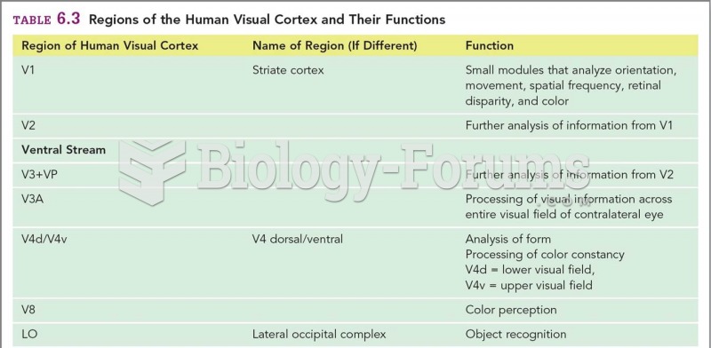 Regions of the Human Visual Cortex and Their Functions