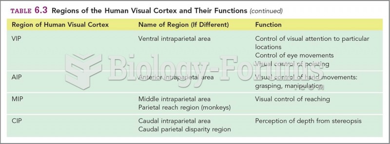 Regions of the Human Visual Cortex and Their Functions