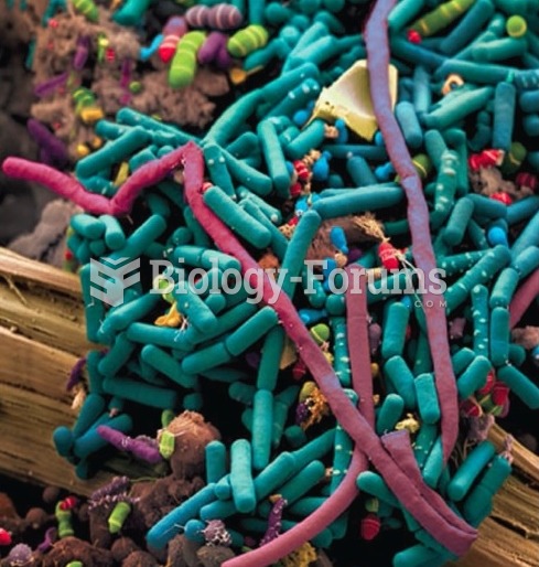 Commensal Bacteria in the Human Small Intestine