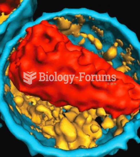 Inside of the Human Immunodeficiency Virus (HIV)