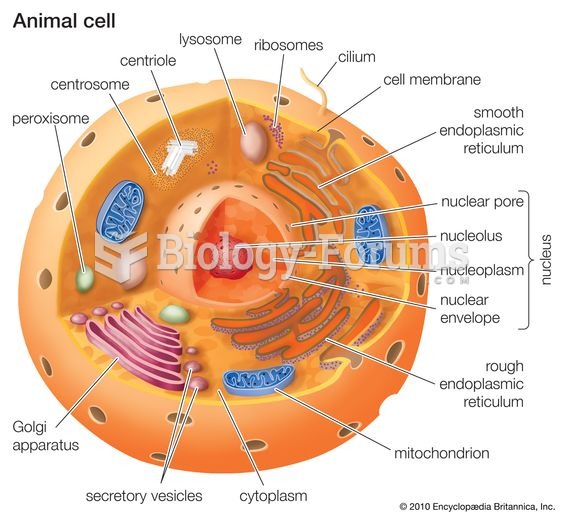 Diagram of a cell